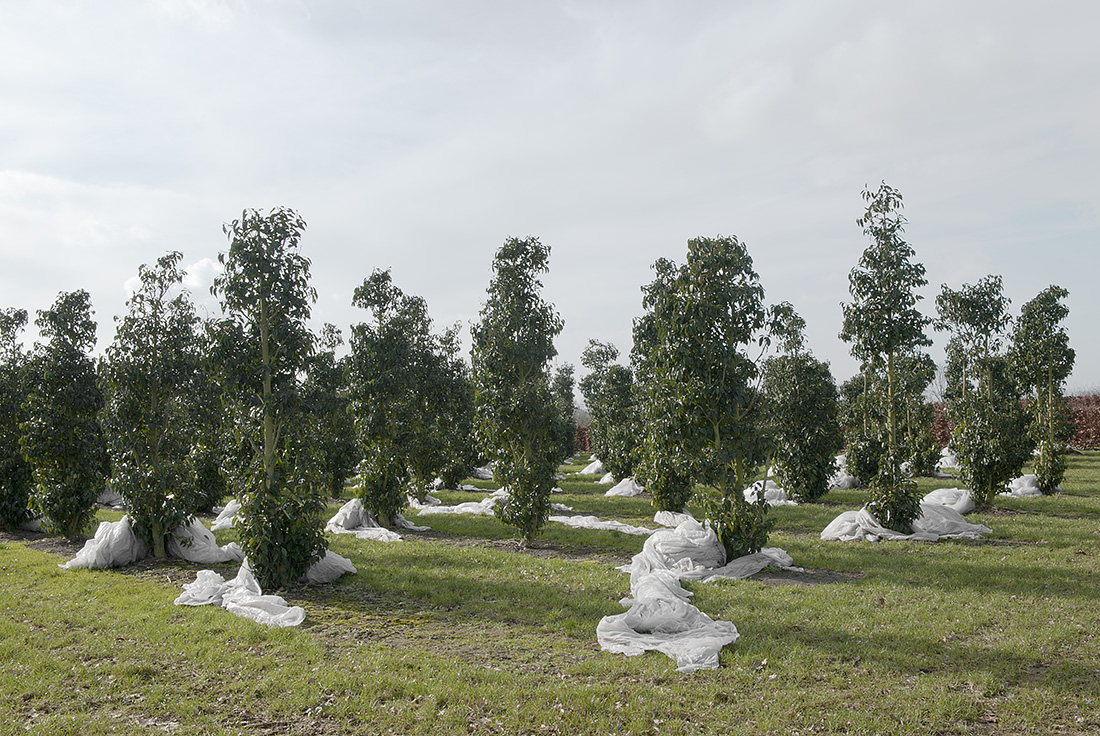 roebel Landschap – Hooge Aard, 2011 | © Hans van Asch Troebel Landschap - Hooge Aard, 2011 - Hans van Asch