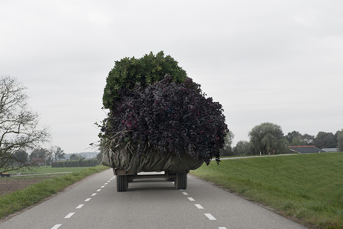 roebel Landschap – Neder-Betuwe, 2010 | © Hans van Asch Troebel Landschap - Neder-Betuwe, 2010 - Hans van Asch